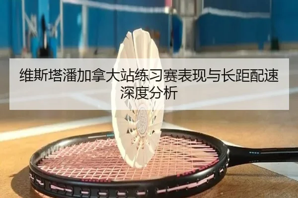 维斯塔潘加拿大站练习赛表现与长距配速深度分析 - hth.com